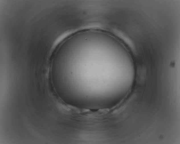 X0000094961316200712131636