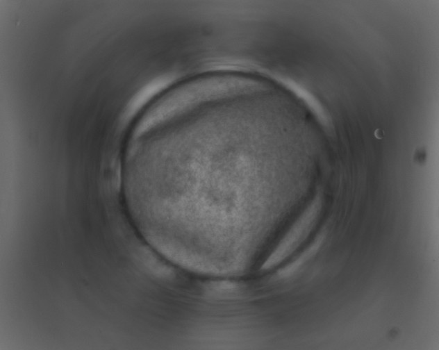 X0000094961317200712131636