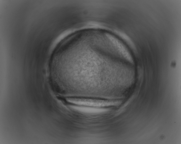 X0000094961318200712131636