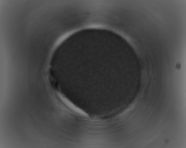 X0000094961319200712131636