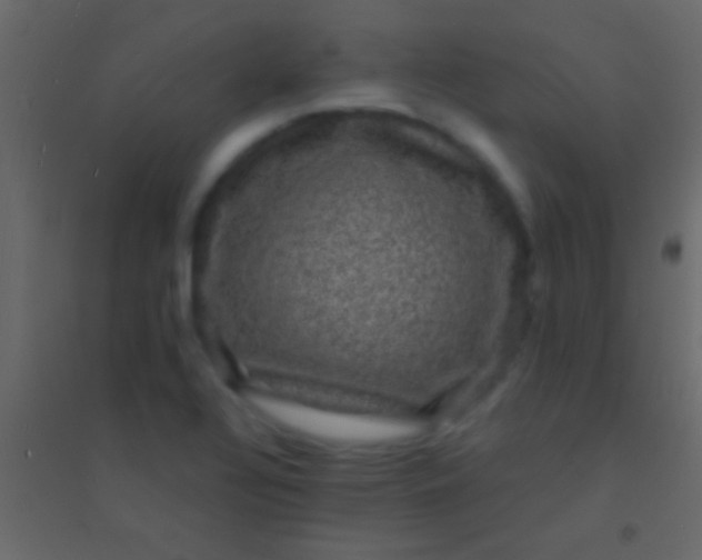 X0000094961320200712131636