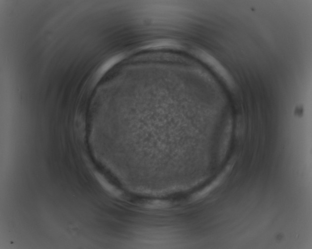 X0000094961321200712131636