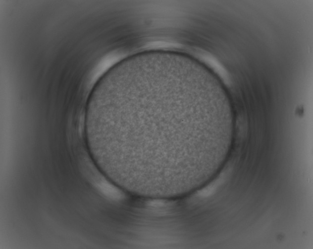 X0000094961322200712131636