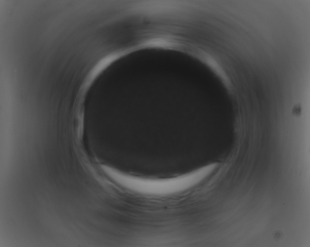 X0000094961323200712131636