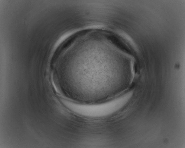 X0000094961324200712131636