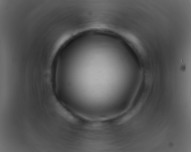 X0000094961326200712131636