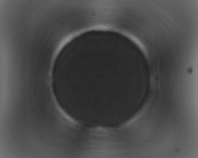 X0000094961327200712131636