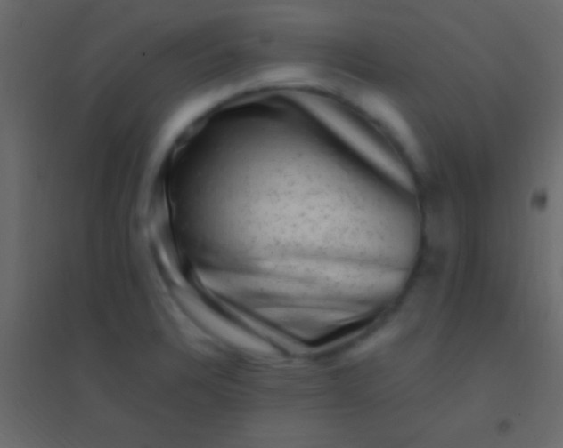 X0000094961328200712131636