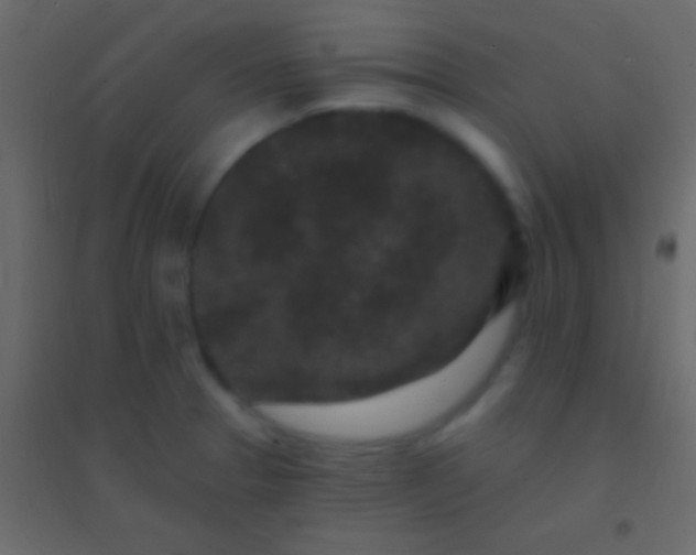 X0000094961329200712131636