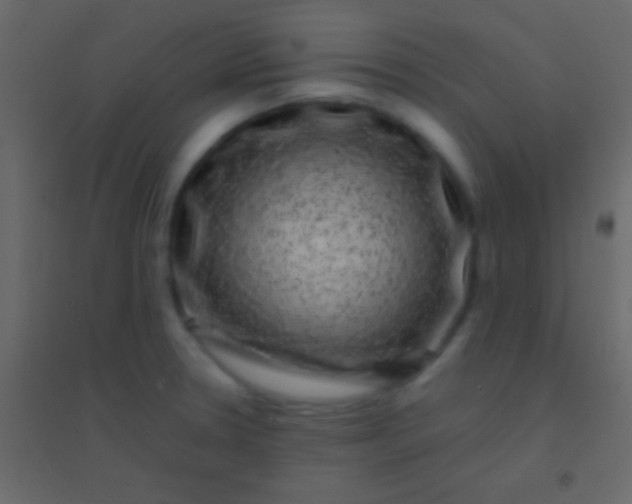 X0000094961330200712131636