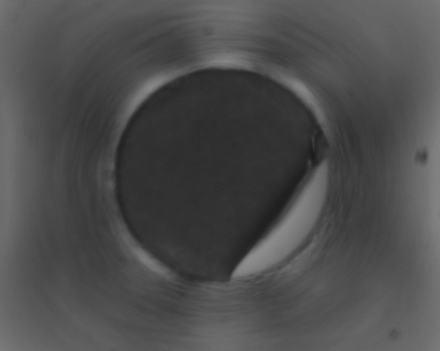 X0000094961331200712131636