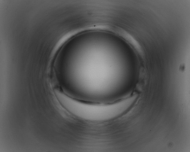 X0000094961332200712131636