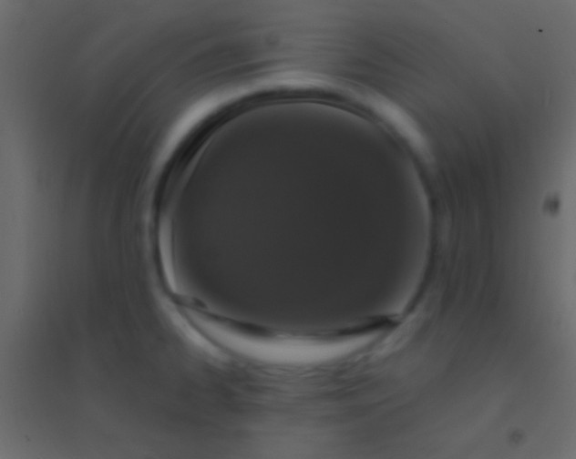 X0000094961334200712131636