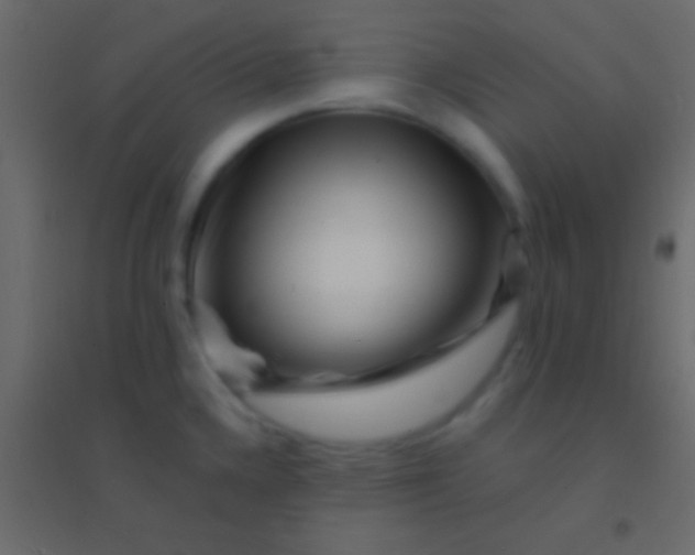 X0000094961336200712131636