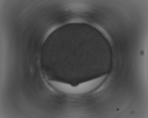 X0000094961337200712131636