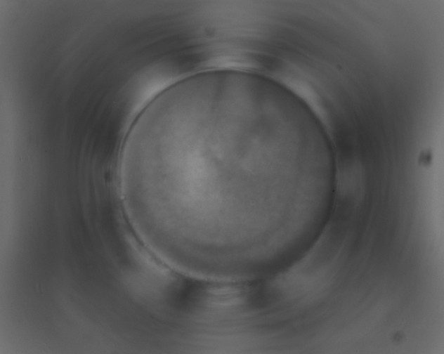 X0000094961338200712131636