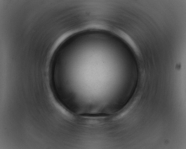 X0000094961339200712131636