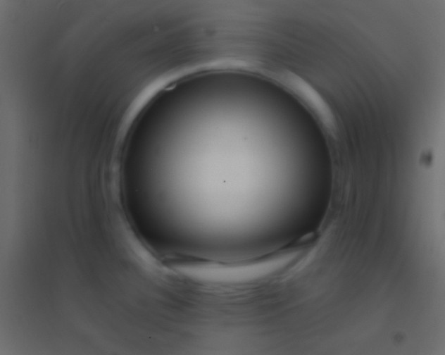 X0000094961340200712131636