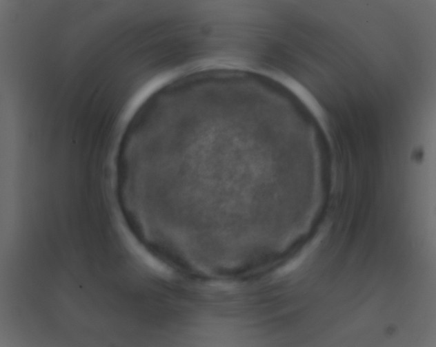 X0000094961341200712131636