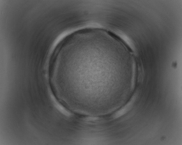 X0000094961342200712131636