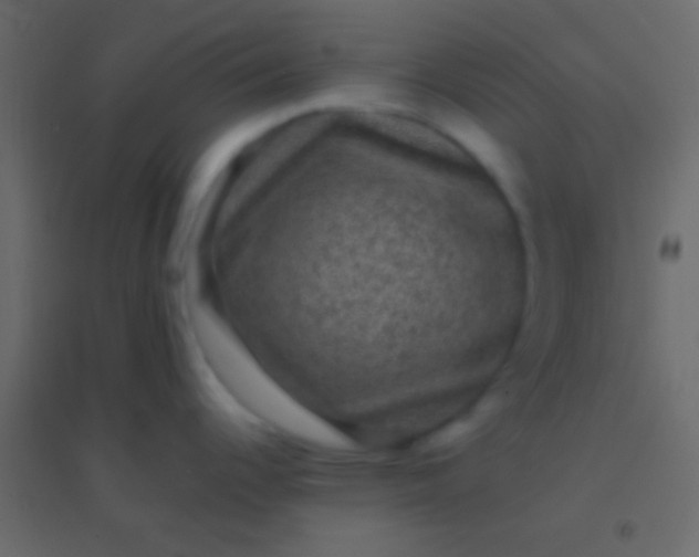 X0000094961344200712131636