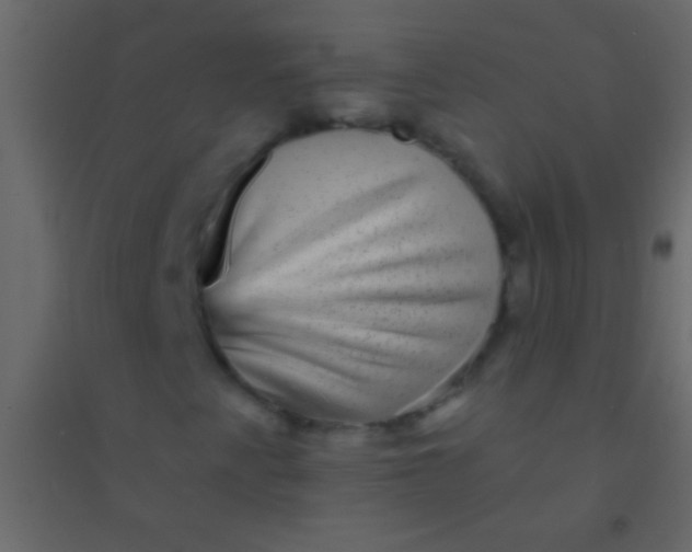 X0000094961345200712131636