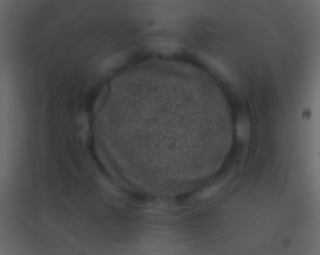 X0000094961347200712131636