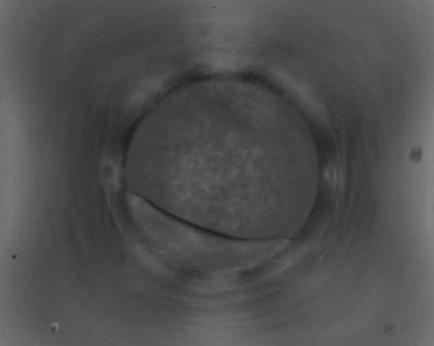 X0000094961348200712131636