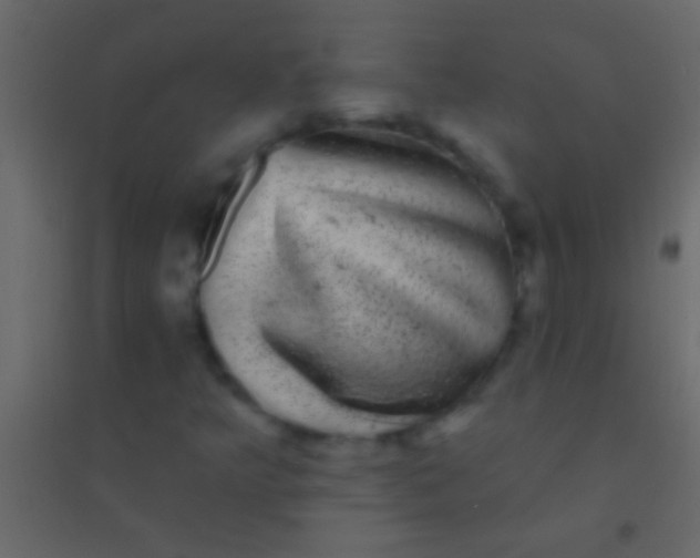 X0000094961349200712131636