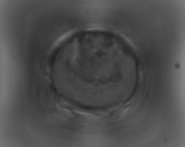 X0000094961351200712131636