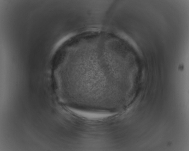 X0000094961352200712131636