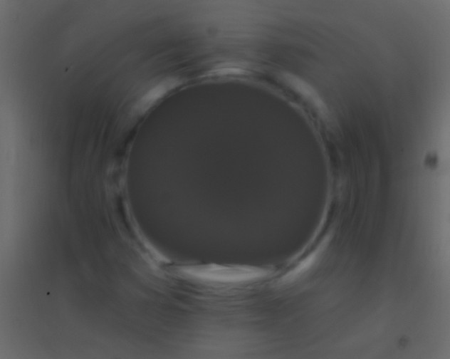 X0000094961353200712131636