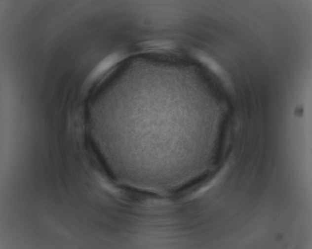 X0000094961354200712131635