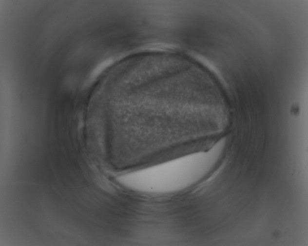 X0000094961355200712131635