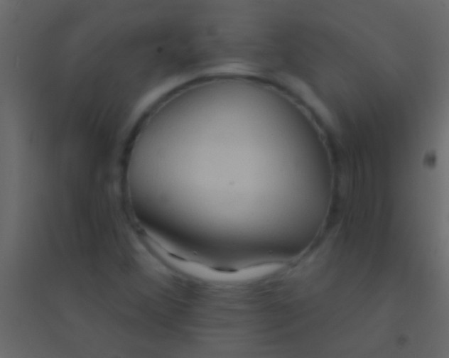 X0000094961356200712131635