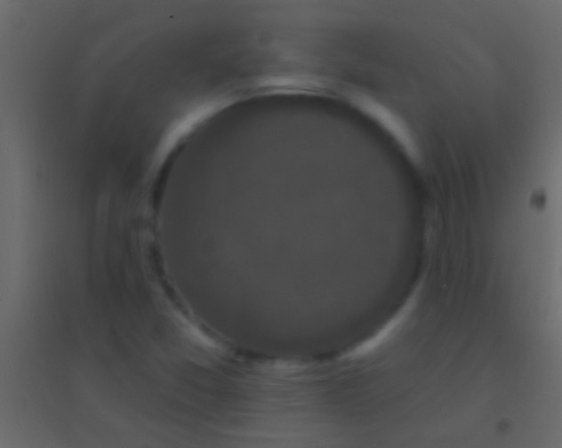 X0000094961357200712131635