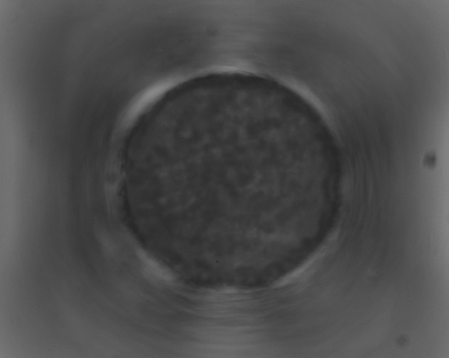 X0000094961359200712131635