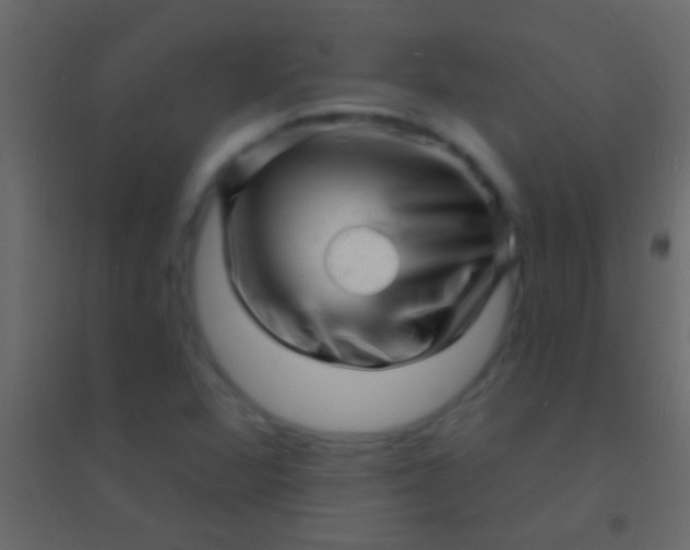 X0000094961360200712131635