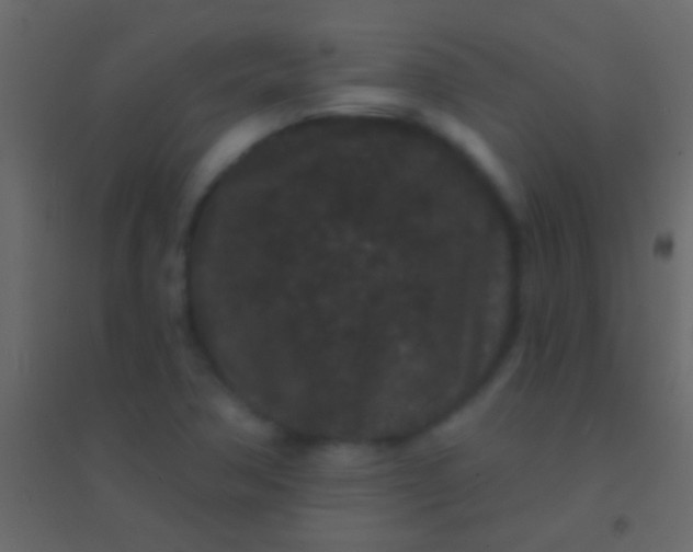 X0000094961362200712131635