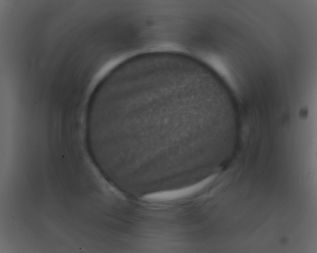 X0000094961364200712131635