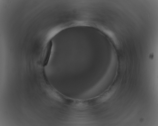 X0000094961365200712131635