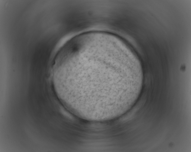 X0000094961366200712131635