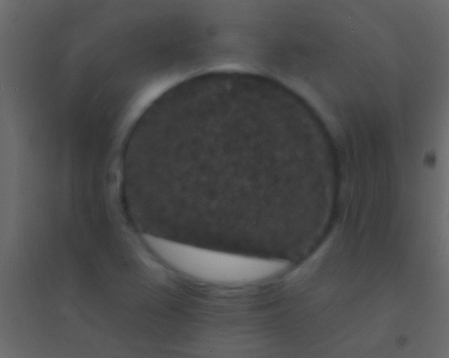 X0000094961367200712131635