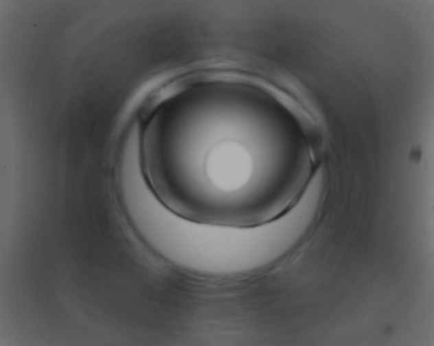 X0000094961368200712131635