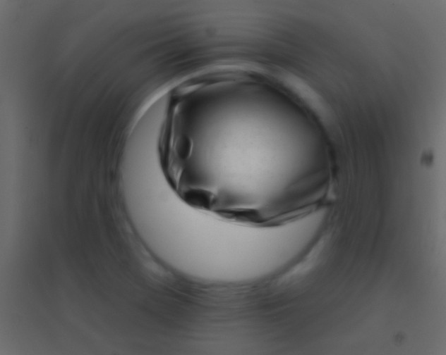 X0000094961369200712131635