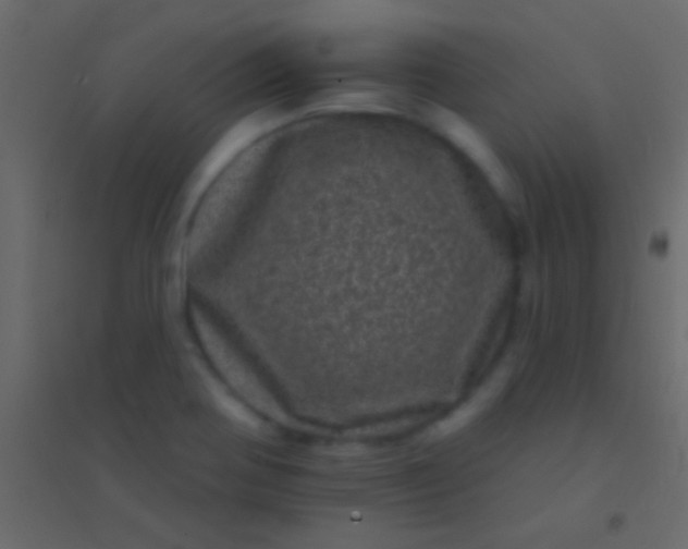 X0000094961370200712131635