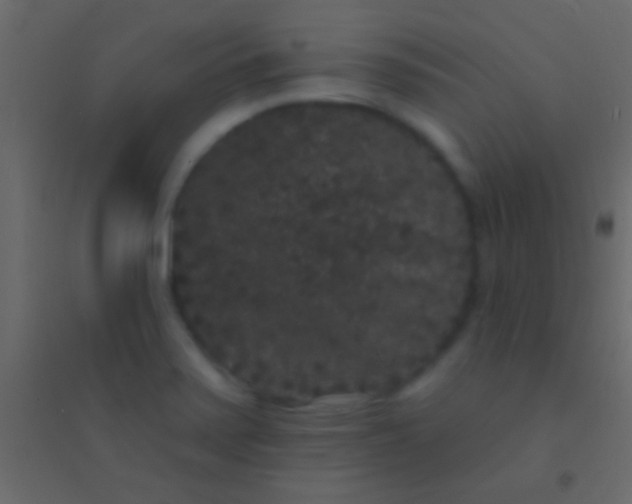 X0000094961371200712131635