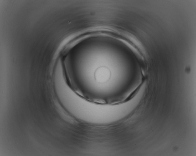 X0000094961372200712131635