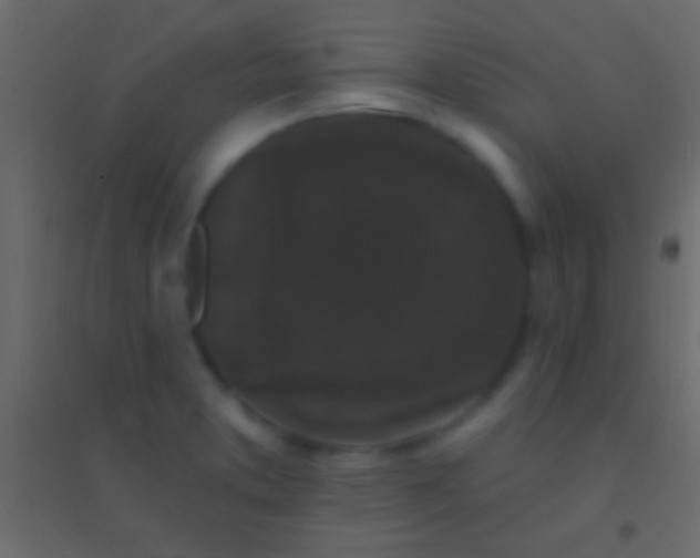 X0000094961373200712131635