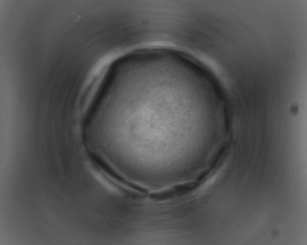 X0000094961374200712131635